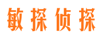 江源市侦探公司